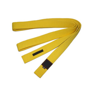 Taekwondo Belts