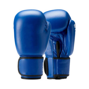 Competition Boxing Gloves
