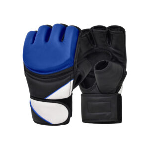 Taekwondo Gloves