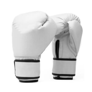 Training Boxing Gloves