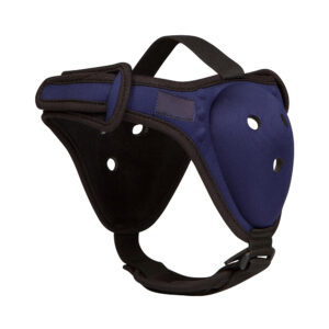 Ear Guards