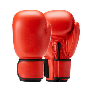 Competition Boxing Gloves