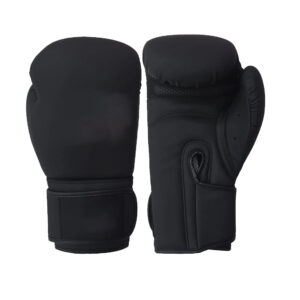 Muay Thai Gloves